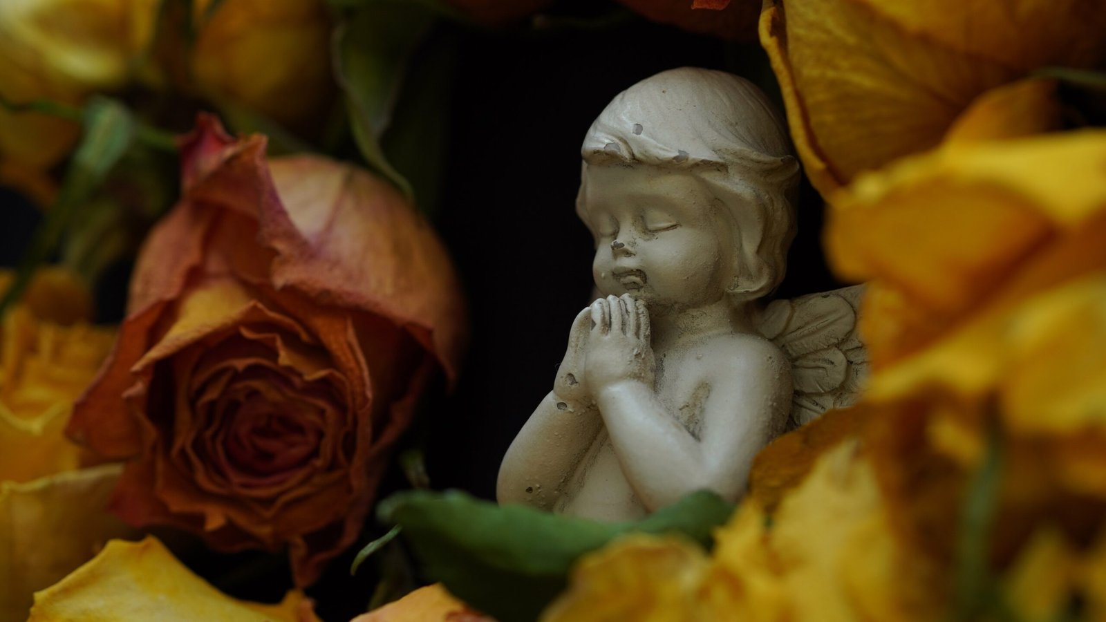 love will die